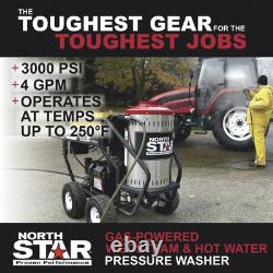 NorthStar Gas Wet Steam and Hot Water Pressure Washer, 3000 PSI, 4 GPM, Honda