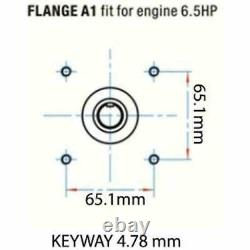 Triplex High Pressure Washer Pump fits Honda GX200 Dewalt DH3028 9HP Vanguard